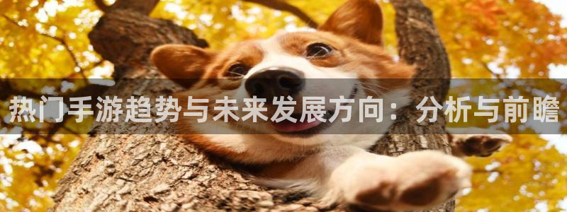 蓝冠娱乐开户测速：热门手游趋势与未来发展方向：分析与前瞻