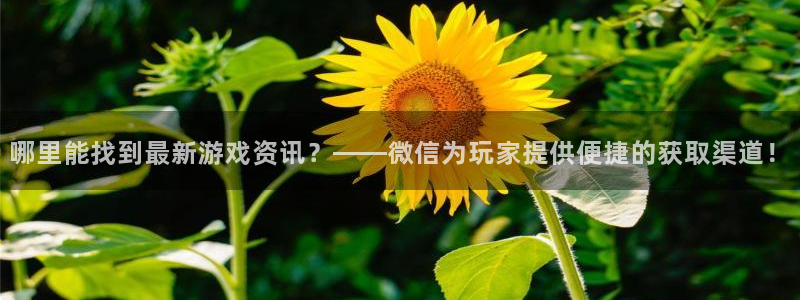 蓝冠娱乐网页登录入口官网：哪里能找到最新游戏资讯？——微信为