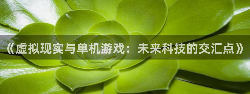 蓝冠娱乐平台注册资金多少：《虚拟现实与单机游戏：未来科技的交